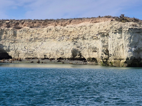 Reserva Lobería de Punta Loma-马德林港必去景点