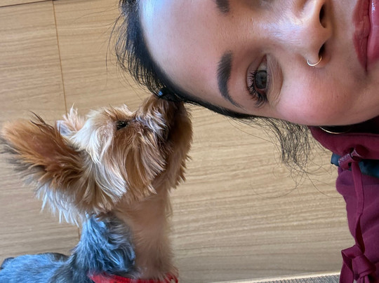 Dog Cafe Rio Akihabara-千代田区必去景点