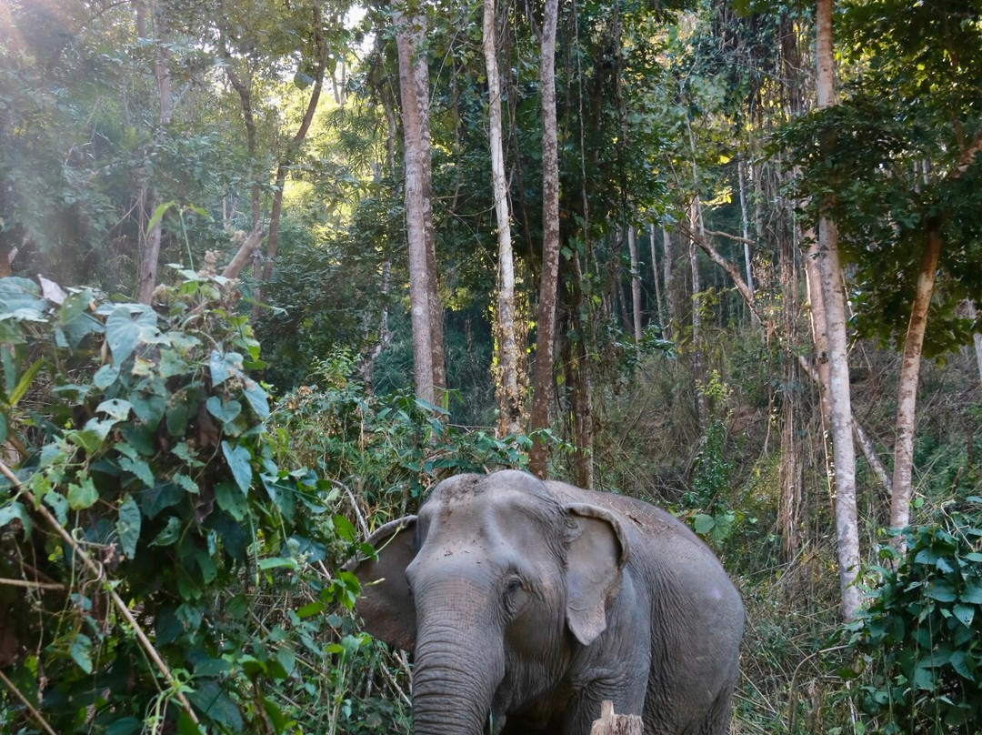 Chang Chill-Mae Win必去景点