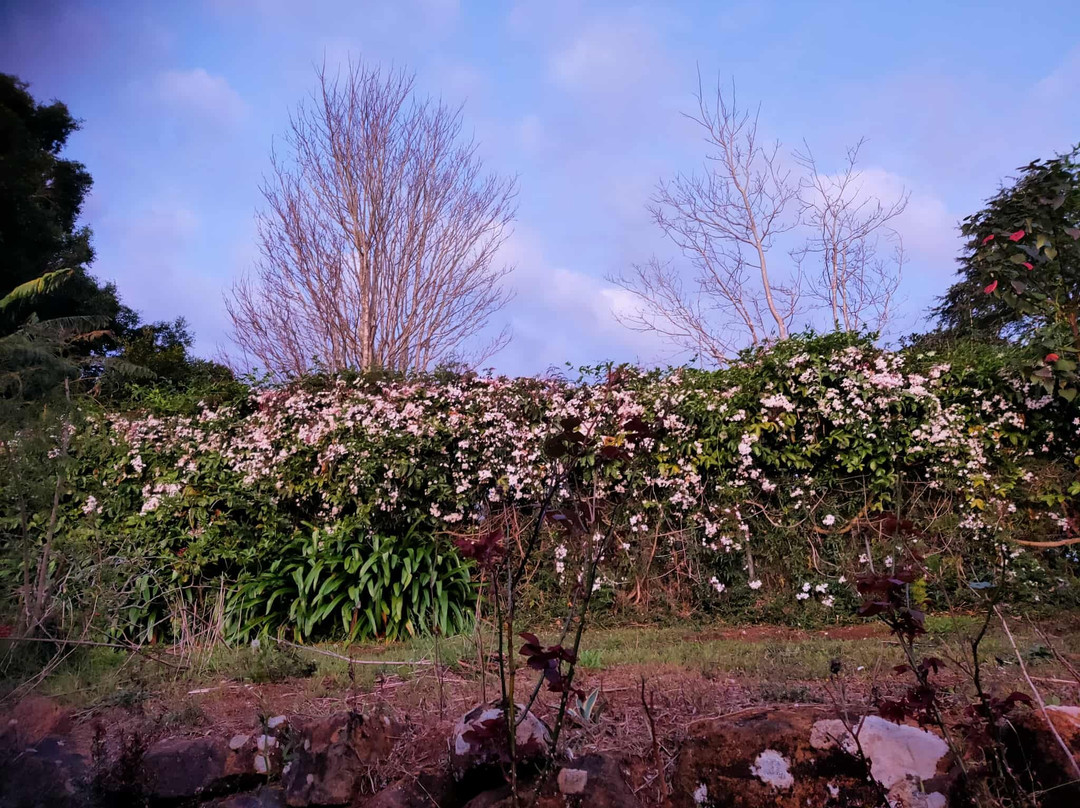 Blissage Day Spa Sanctuary-丹百林山必去景点