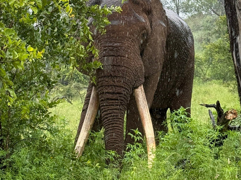 Paw Safaris-霍德斯普鲁特必去景点