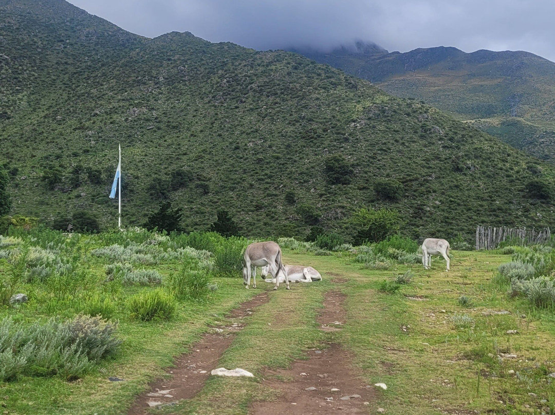 El Puesto de Ferreyra-圣哈维尔必去景点