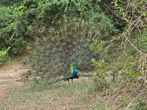 TrustGo Travels-埃勒必去景点
