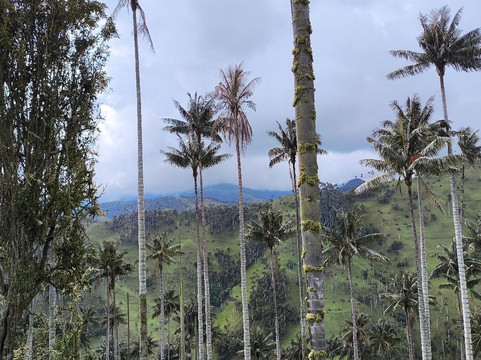 Andes Adventure-萨伦托必去景点