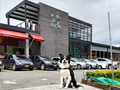 Cocorollo La Estrella