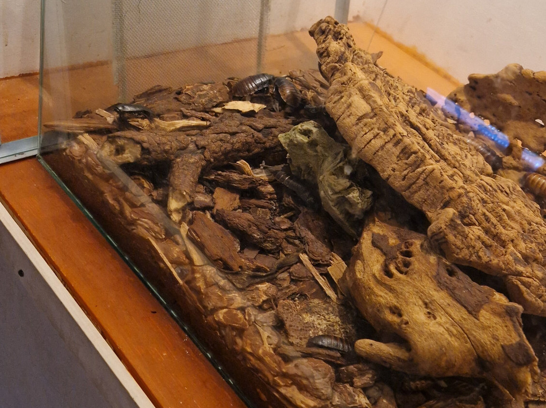 Citta Della Scienza-那不勒斯必去景点