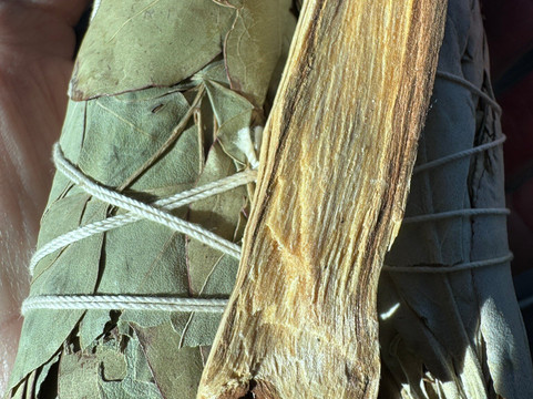 Mama's Minerals-阿尔伯克基必去景点