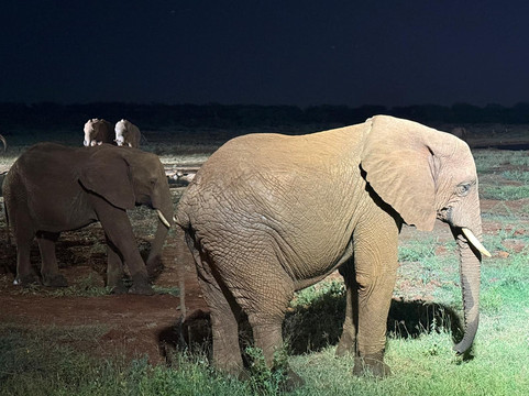 Vivi Il Kenya Con Sorriso-瓦塔木必去景点