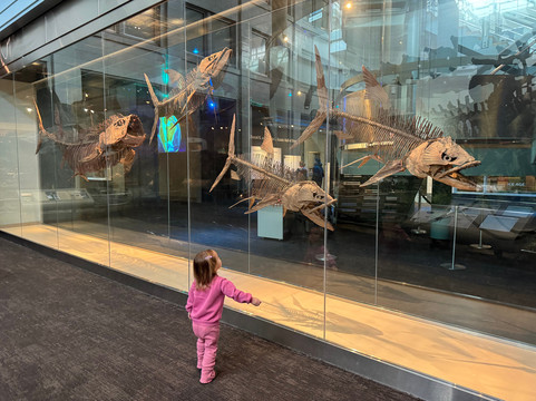 卡内基自然历史博物馆-匹兹堡必去景点