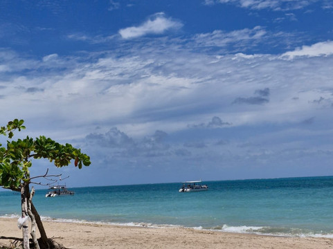 Praia Burgalhau-Maragogi必去景点