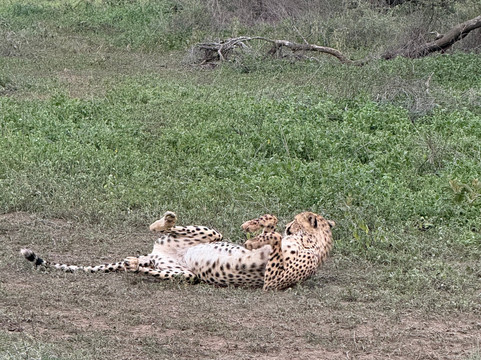 EverseenAfrica-霍德斯普鲁特必去景点