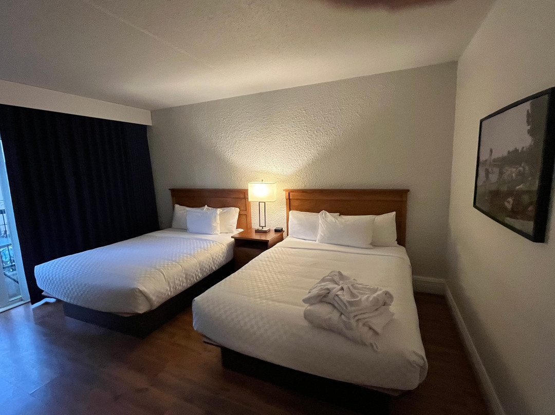 罗斯里尔蒙特玛尼酒店主图