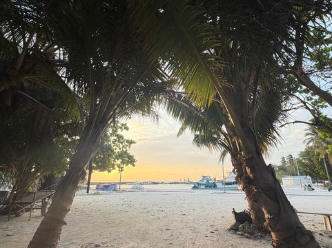 Local Travel Beach主图