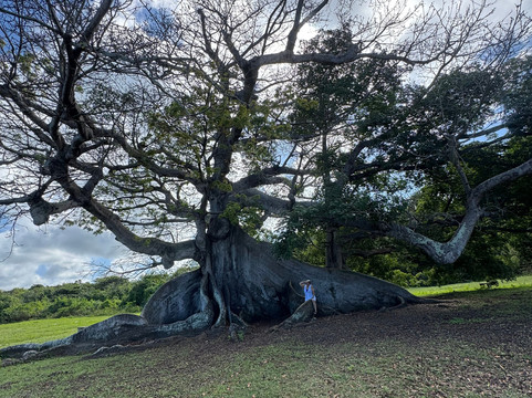 Fokito's Tours-Vieques必去景点