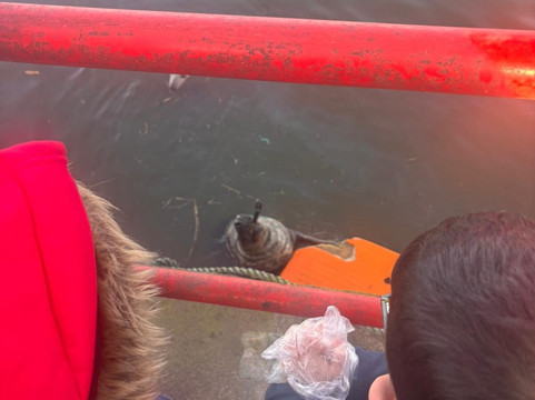 Eyemouth Harbour-Eyemouth必去景点