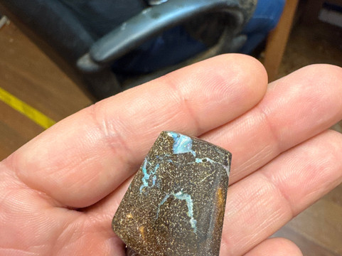 Opal Museum-布里斯班必去景点