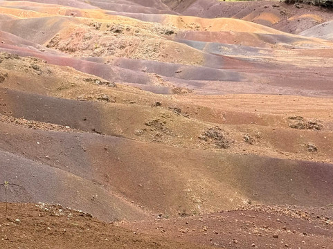 Taxi Service Mauritius (TRAVELHUB)-卡特勒博尔纳必去景点