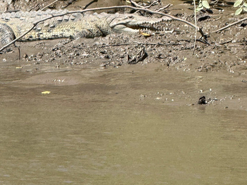 Tamarindo Dreamers Adventure-塔马林多必去景点