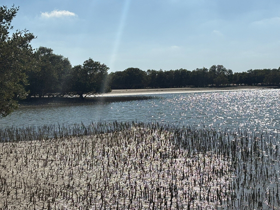 Sir Bani Yas Cruise Beach-萨巴尼亚岛必去景点