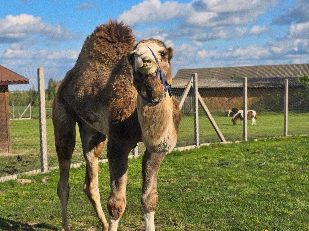 Podlaska Toskania-Suwalki必去景点