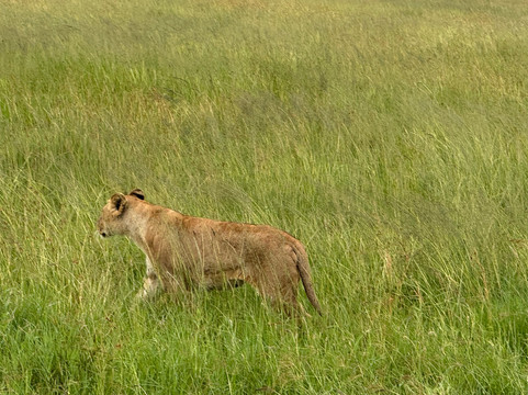 易捷旅游-一日游-阿鲁沙必去景点