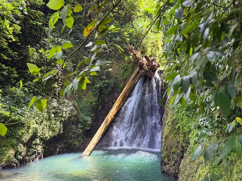 Seven Sisters Waterfalls Grenada-Grand Etang National Park必去景点