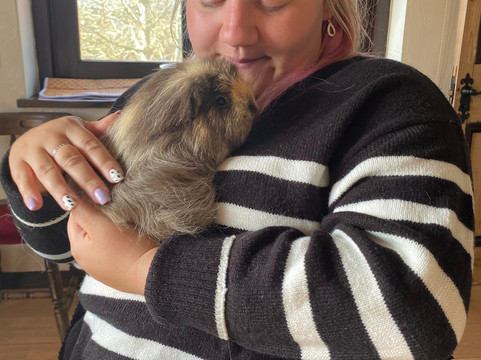 Cavies & Cake-Fakenham必去景点