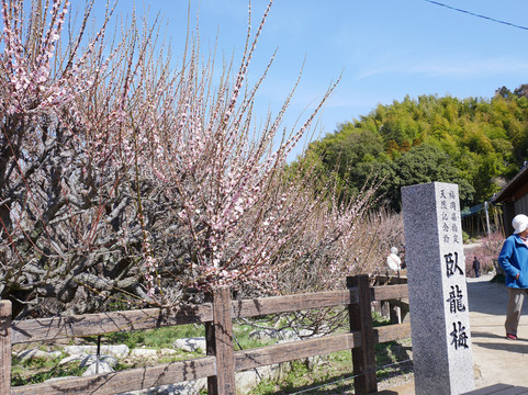 Fukoji temple-大牟田市必去景点