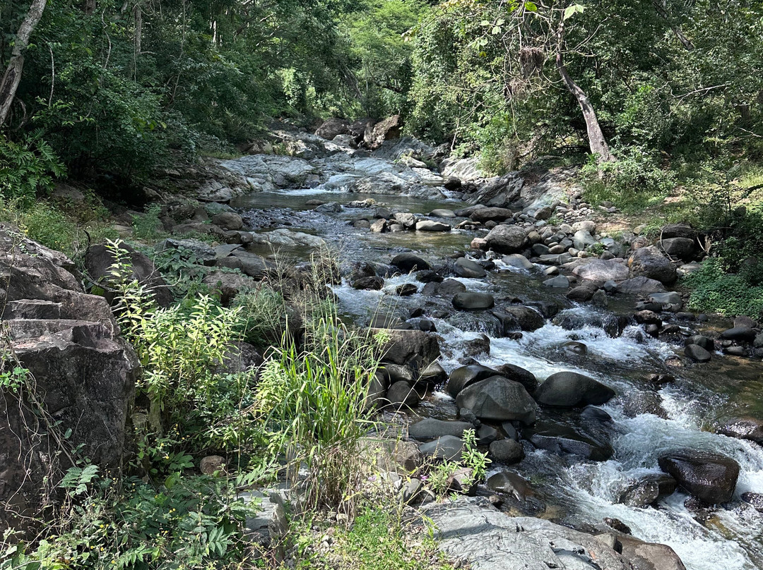 Nayari Expedition-Valle de Banderas必去景点