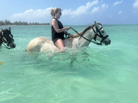 Pampered Ponies, Limited-西湾必去景点