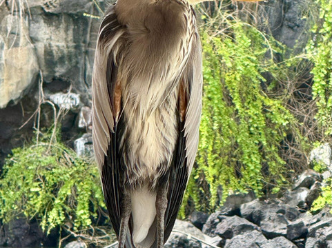 Galapagos Best Option-阿约拉港必去景点