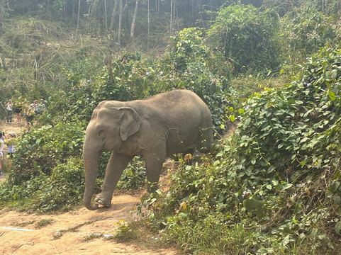 Chang Chill-Mae Win必去景点