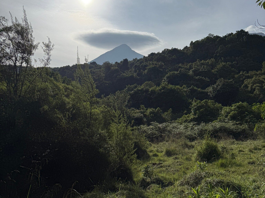 Kubwa Five Safaris-坎帕拉必去景点