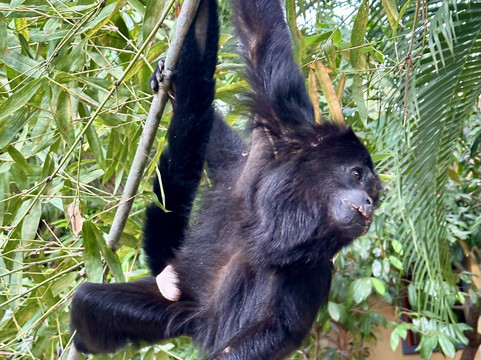 Mexique Découverte-坎昆必去景点