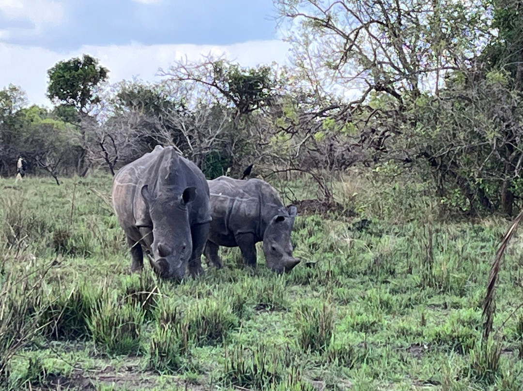 African Rock Safaris Ltd-坎帕拉必去景点