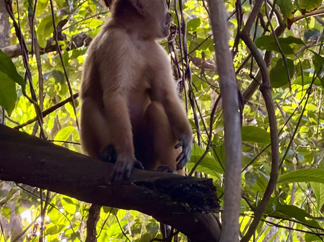 Limeland Tours-特立尼达必去景点