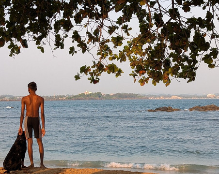 Sri Lankan Personal Drivers-科伦坡必去景点