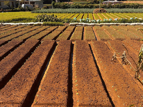 Lover's Leap Falls-奴娃拉伊利雅必去景点