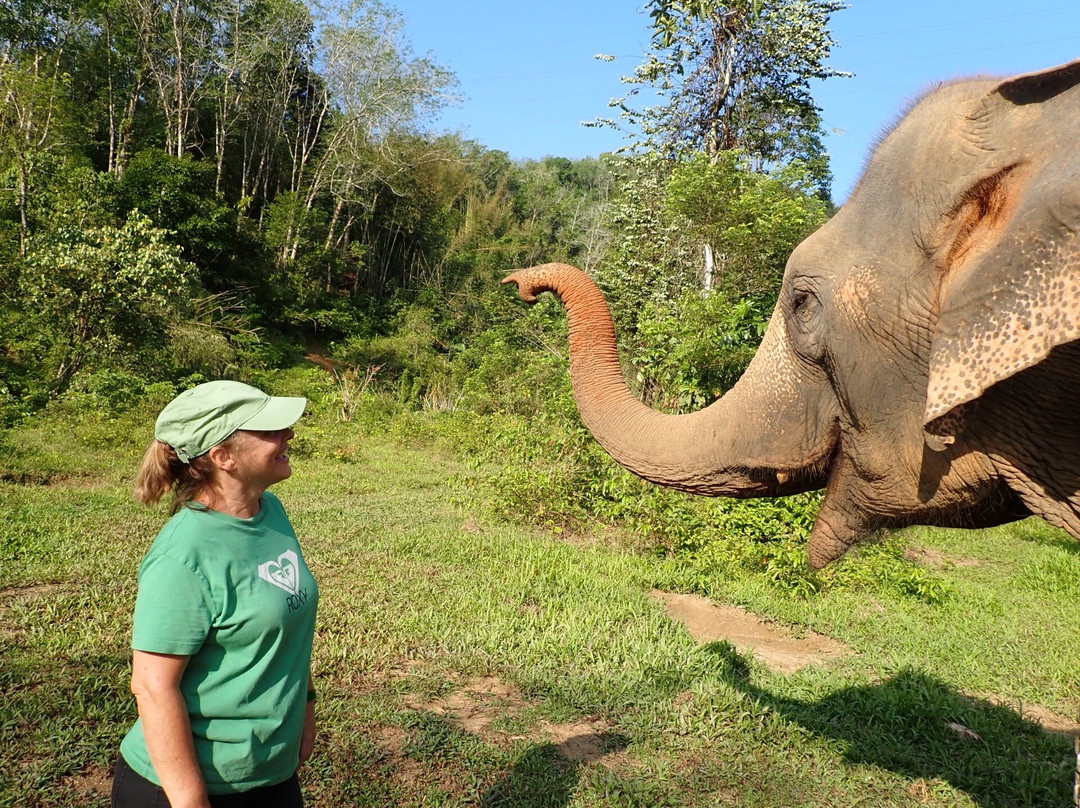Phang Nga Elephant Park-攀牙必去景点
