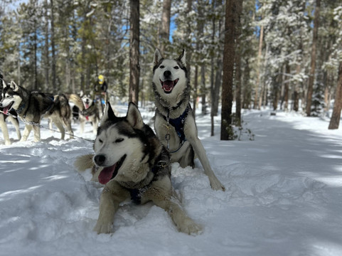 Good Times Adventures-布雷肯里奇必去景点