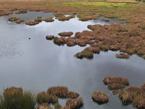 Montanas Colombianas-佩雷拉必去景点