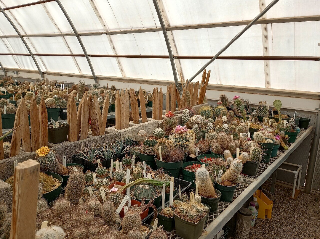 Chihuahuan Desert Nature Center & Botanical Gardens-Fort Davis必去景点