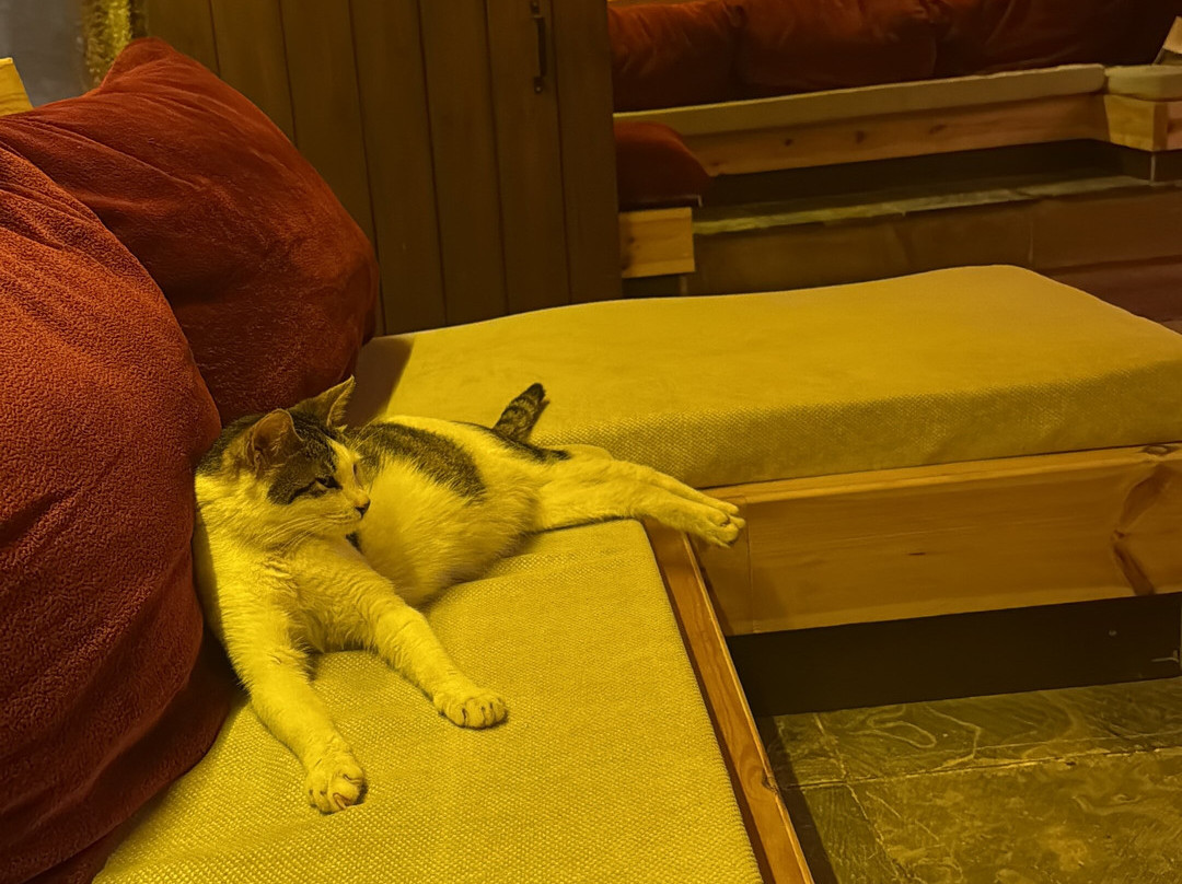 Buyuk Hamam  Grand Turkish Bath-尼科西亚必去景点