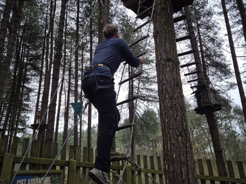 Go Ape Delamere-Delamere必去景点