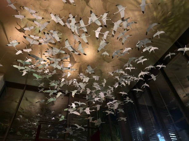 蒙得维的亚酒店- 立鼎世酒店集团-官方