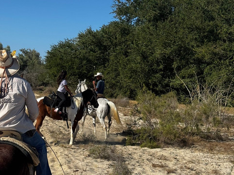 Rancho Animas-Animas Bajas必去景点