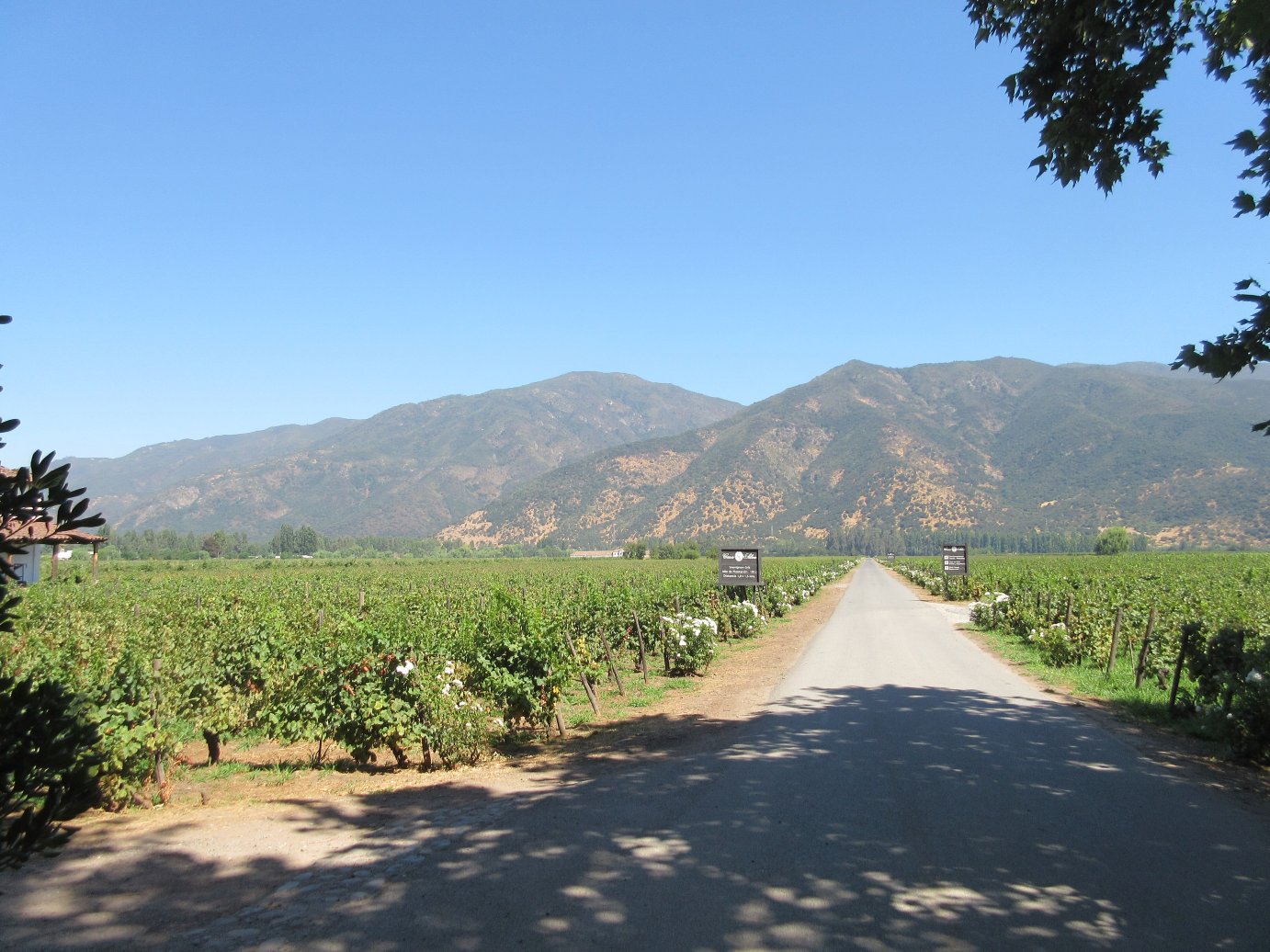 卡萨席尔瓦酒店-官方