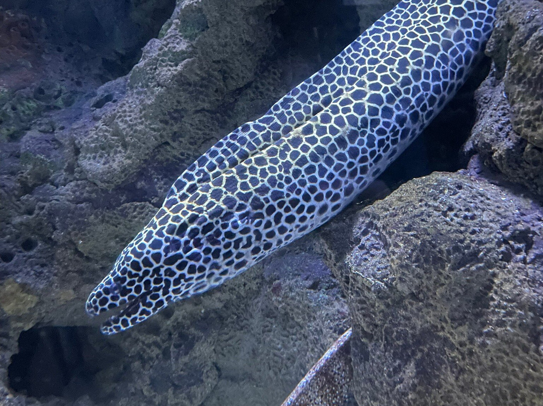 Wildlife World Zoo and Aquarium-Litchfield Park必去景点