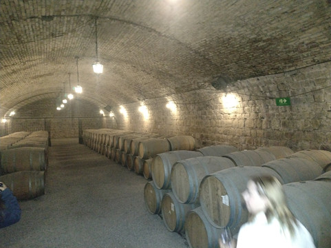 Vina Santa Carolina-圣地亚哥必去景点