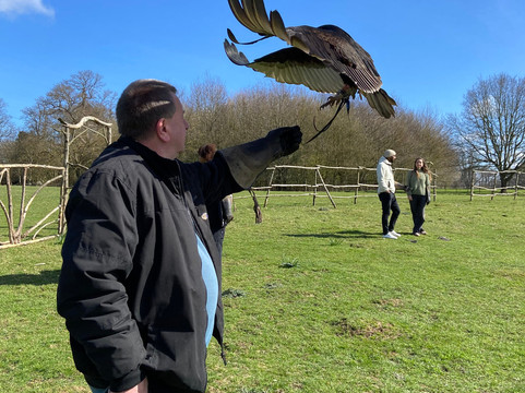 Kent Falconry Centre-Throwley必去景点